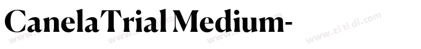 CanelaTrial Medium字体转换
